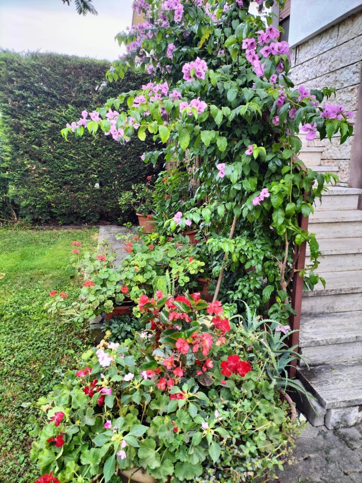 Casa Belvedere 몬잠바노 외부 사진