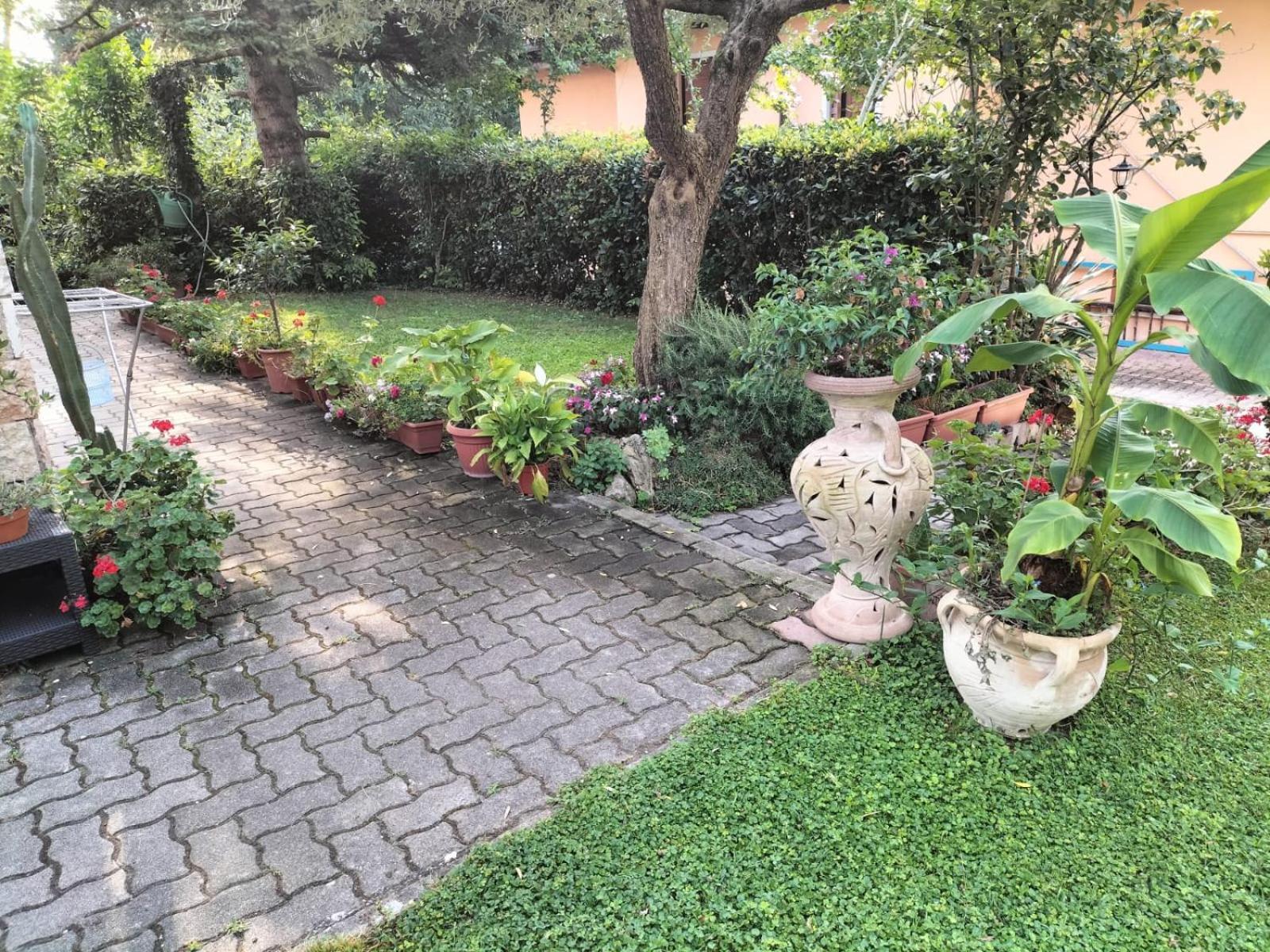 Casa Belvedere 몬잠바노 외부 사진