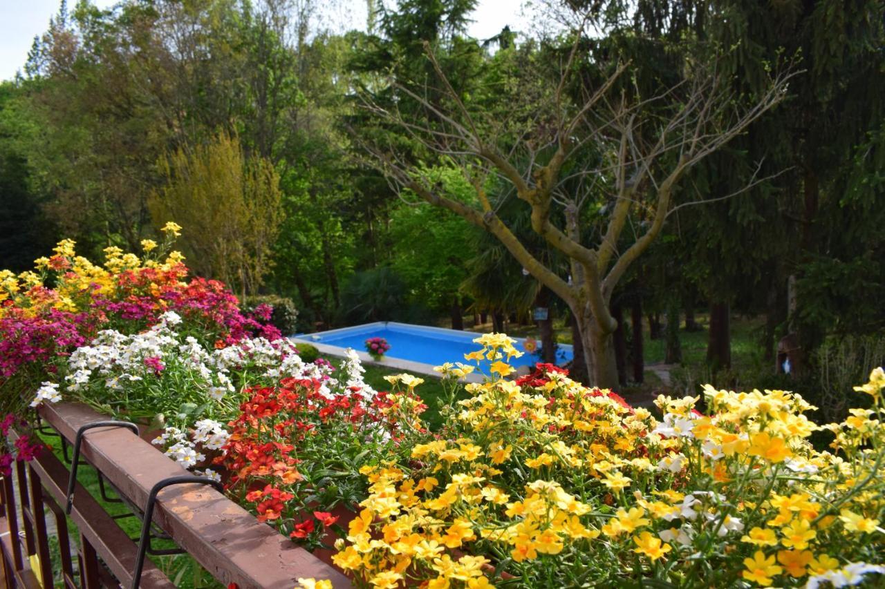 Casa Belvedere 몬잠바노 외부 사진